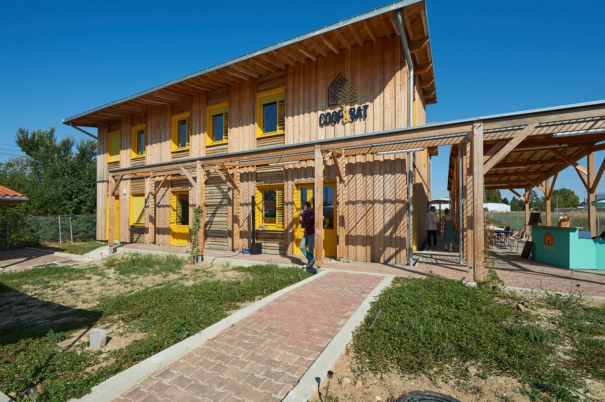 entry image